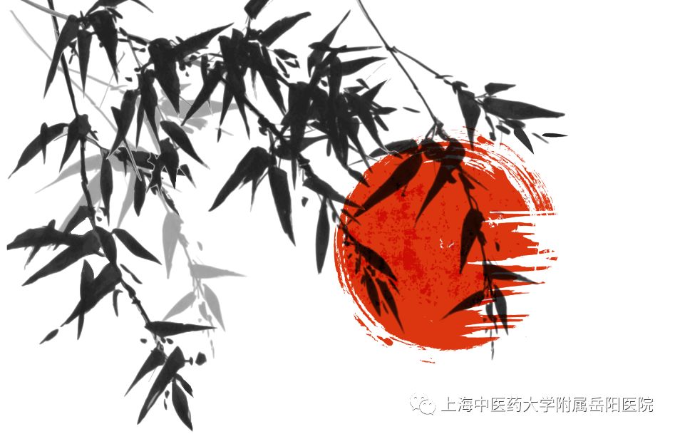 慢性肾病膏方大全,肾病患者日常保健的方子