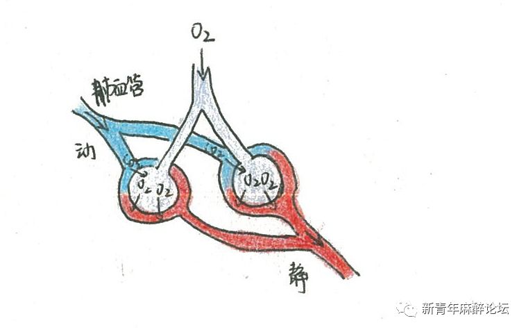 呼吸科普类视频制作,科普人体呼吸机制