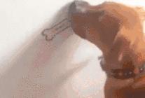 双十一吐槽货品,双十一吐槽大会