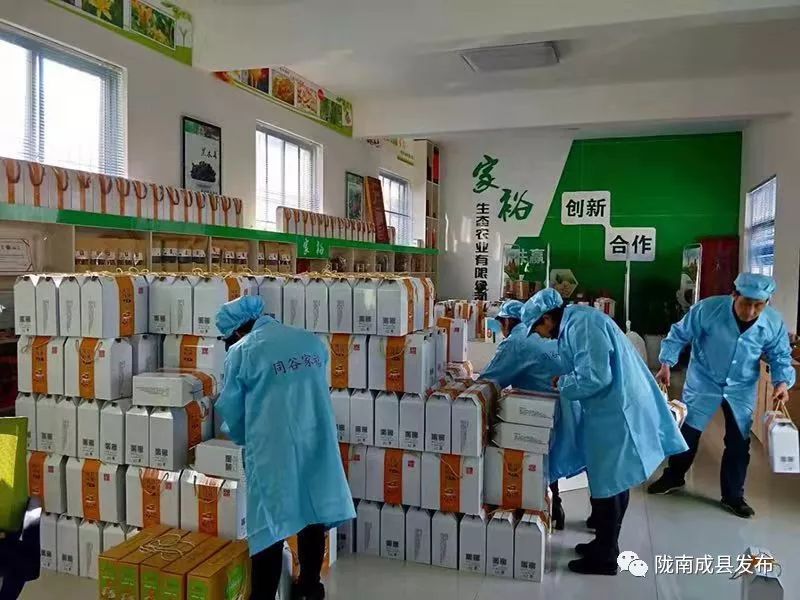 电商扶贫三大重点任务,电商扶贫探索