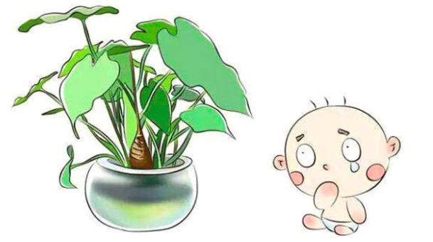 必须懂的健康小知识,一定要记住的健康小知识