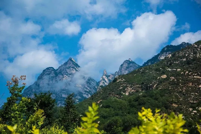 最美漫山花溪谷,漫山漫水花溪谷风景区