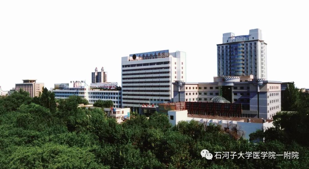 石河子最新未来发展规划,石河子明年整体规划