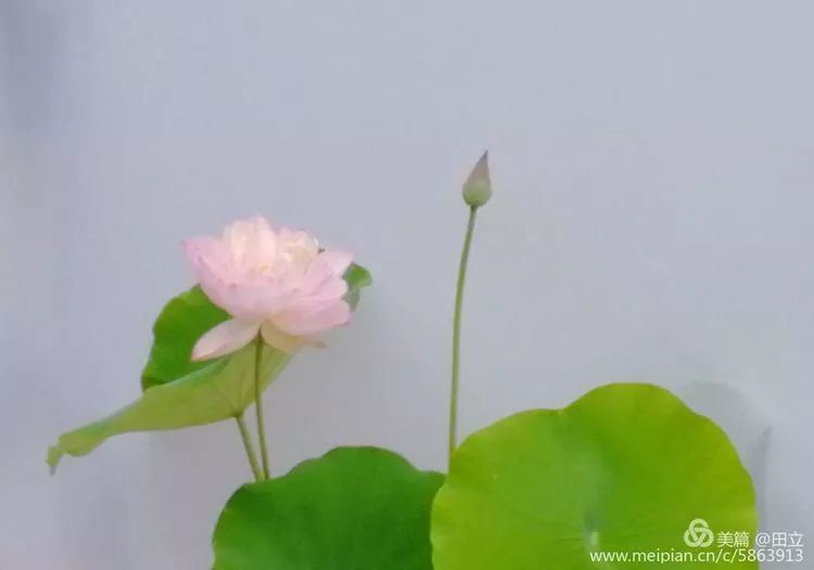 「荐读」名贤集值得一读