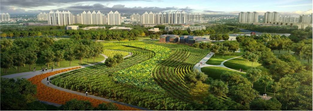 临沂田园综合体,临沂沂南田园综合体名单