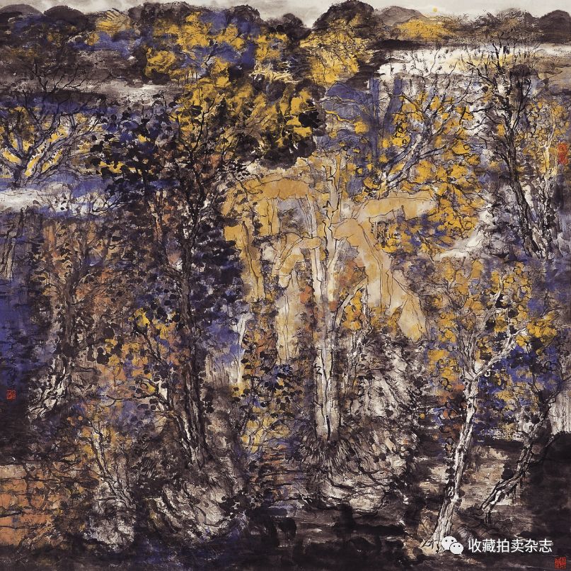 藏拍·人物丨陈映欣,当“狂野”撞上“佛系”