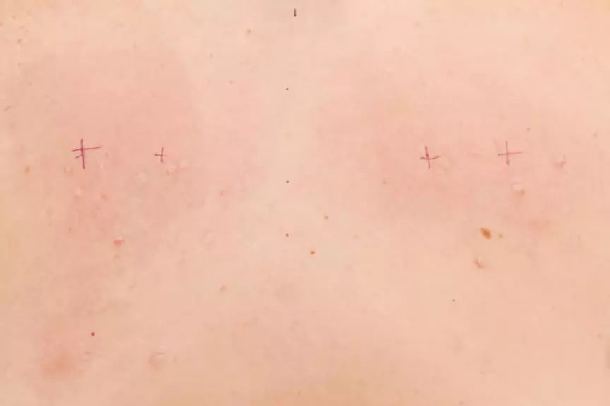 奇异的人体悬挂世界