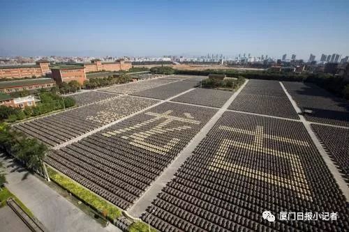 活动小记者,活动回顾小小赛车手