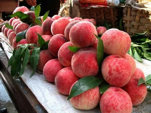 成都最新批发市场,成都最大的小商品批发市场在哪里