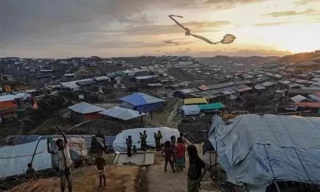 普利策奖饥饿的小孩,饥饿女孩