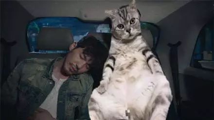 萌爪神吐槽馆,说你想说的