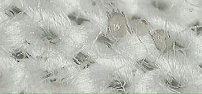 肉眼可见的除螨效果，日本爆款除螨贴，24小时不间断，除螨率高达97%