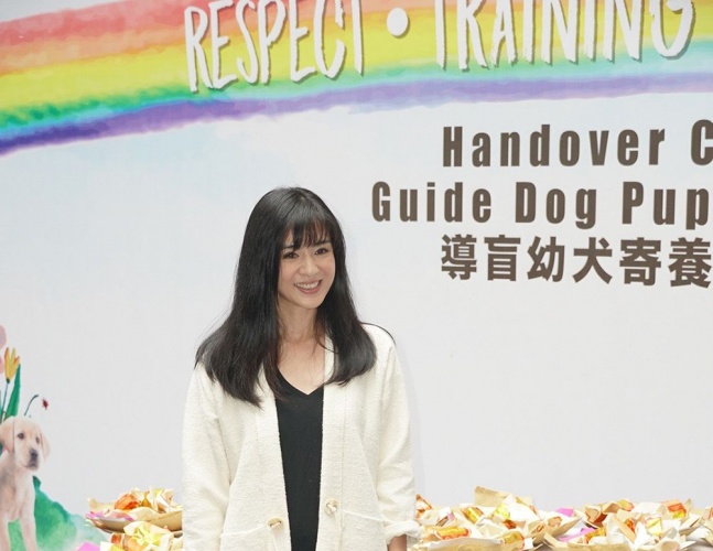 任达华和导盲犬的电影叫什么名字,导盲犬小q任达华为什么没有回来