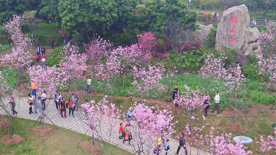 厦门海沧必去的美食店,厦门海沧地道美食