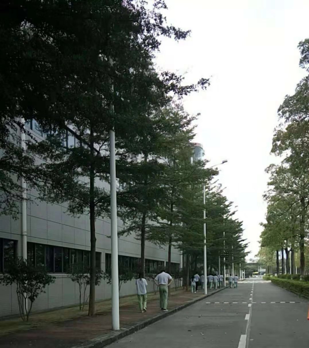 金立手机厂2019年工厂视频,金立手机在东莞有几个工厂