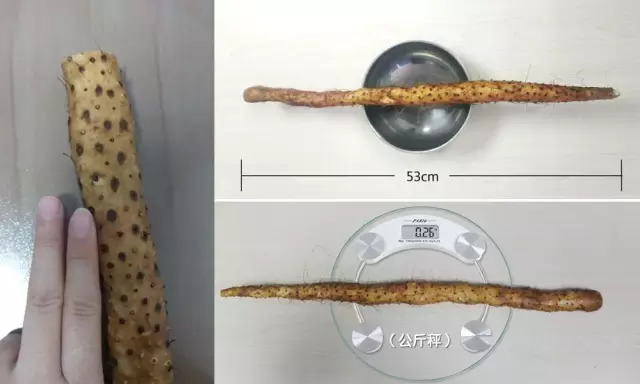 铁棍山药怎么做孩子们喜欢吃,什么样的铁棍山药好吃又营养