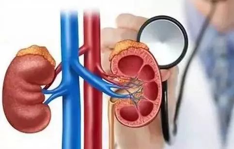 腰酸背痛精力不足是什么原因,腰酸背痛肾气不足