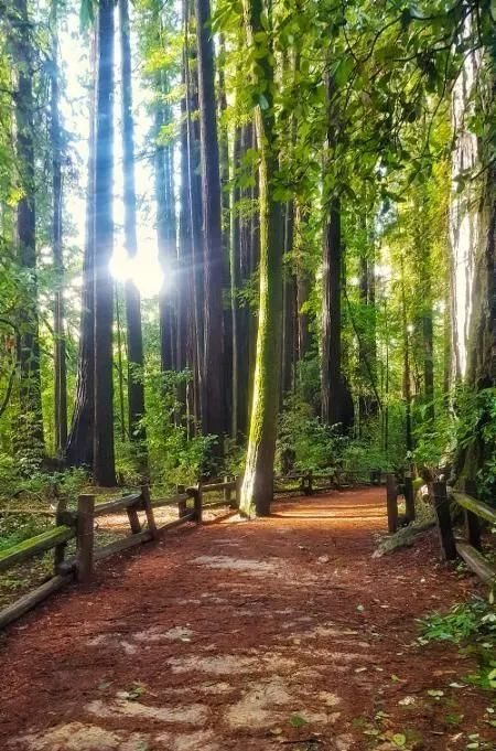 如果你也爱徒步？那你又多了一个理由爱上圣何塞