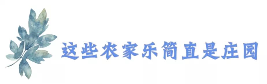 成都可以带娃钓鱼烧烤的农家乐,推荐好的农家乐成都