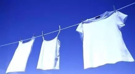 江西一居民家中惊现巨型马蜂窝,贵州家里惊现巨型马蜂窝