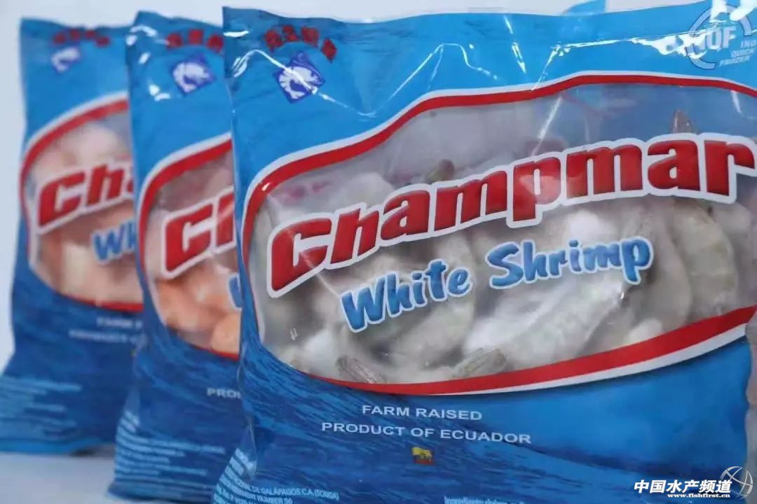 中国订购厄瓜多尔白虾最大的厂家,中国进口厄瓜多尔白虾最新政策