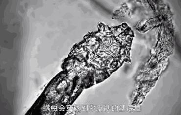 真正好用的洗发神器,一款超级好用的洗头神器