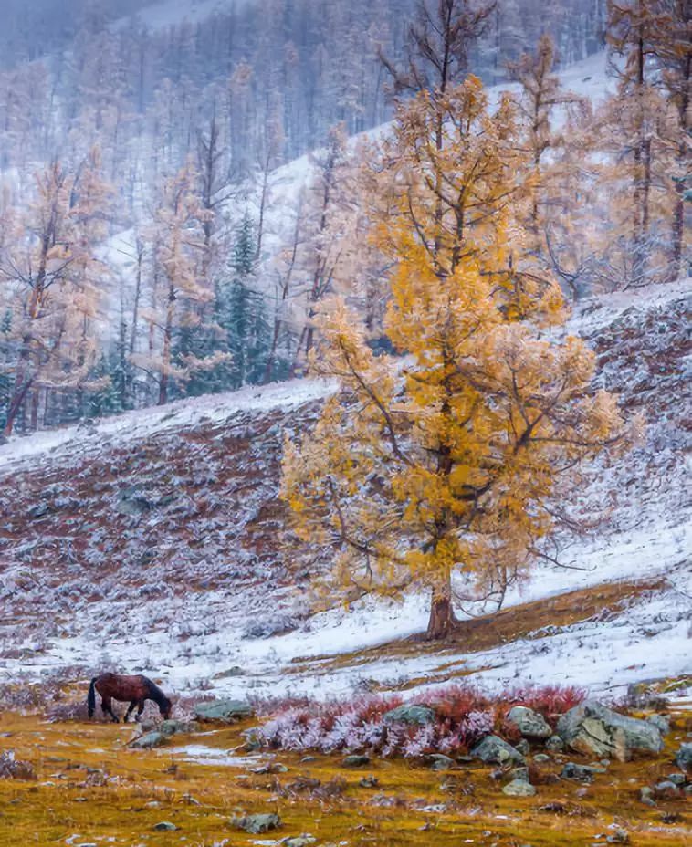 这里的冬天曾是“禁地”，现在是人神共享的冰雪秘境，机票低至¥500！