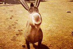 菏泽老字号驴肉馆,菏泽驴肉哪里最好吃