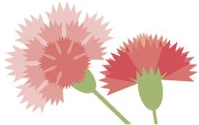 亲爱的爸爸妈妈你们好吗谁唱的,亲爱的爸爸妈妈你们好吗纯音乐