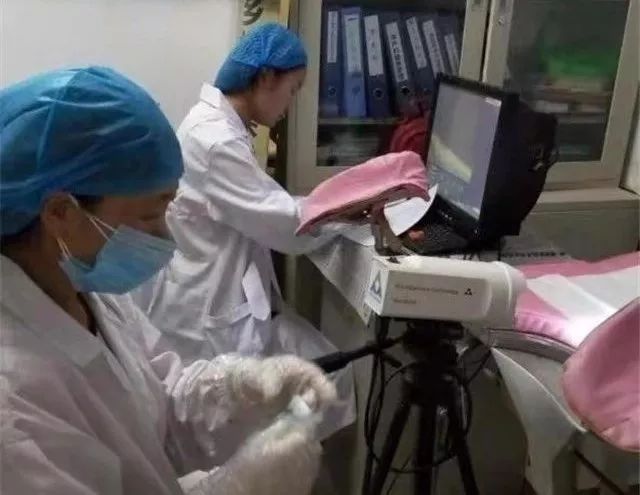 「心声」我的宫颈癌筛查笔记|赵瑞雯