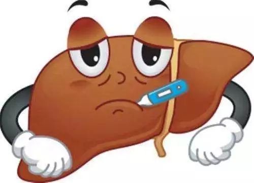 连吃三天大餐胃口都没了,连吃了三天大餐能补救吗