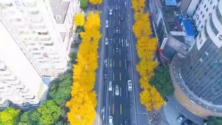 满城尽带黄金甲最美画面,满城尽带黄金甲拍摄地风景