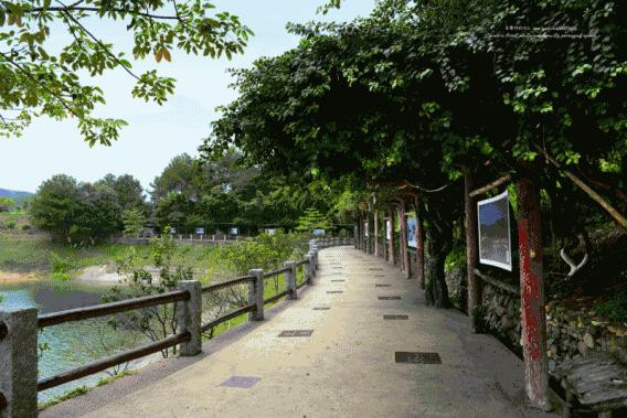 尖叫！包吃包住包玩，2天1夜邀你免费畅玩华南第一湖！