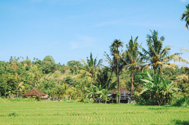千岛湖小巴厘岛在哪,千岛之国之巴厘岛