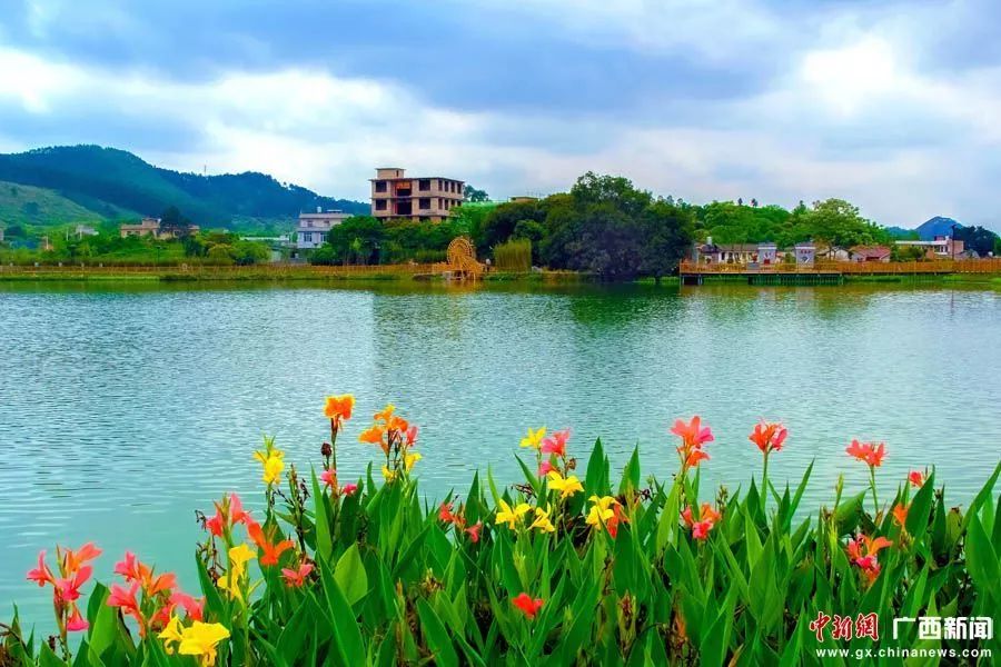 去哪冬游最嗨皮？公示中的广西19家生态旅游示范区不错！