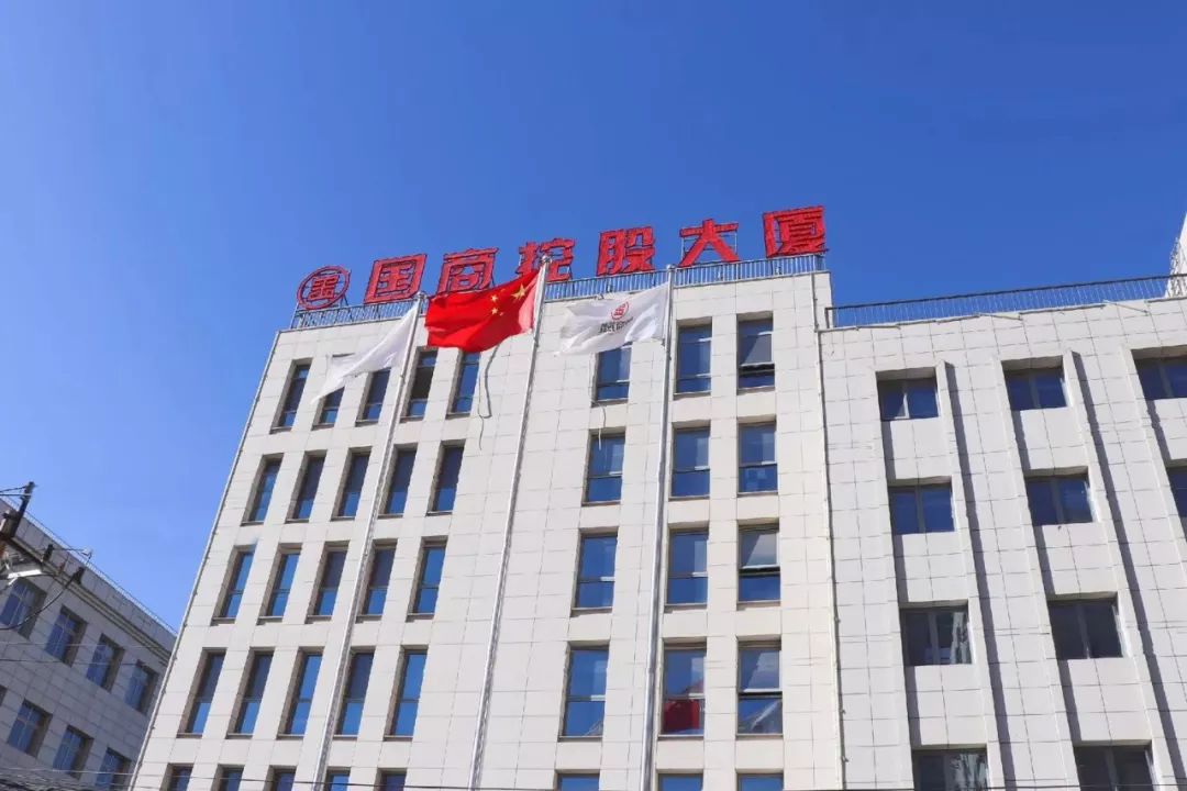 国商控股发展前景,国商控股战略