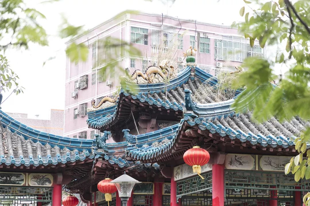 龙岗第一高楼最新消息,龙岗第一城