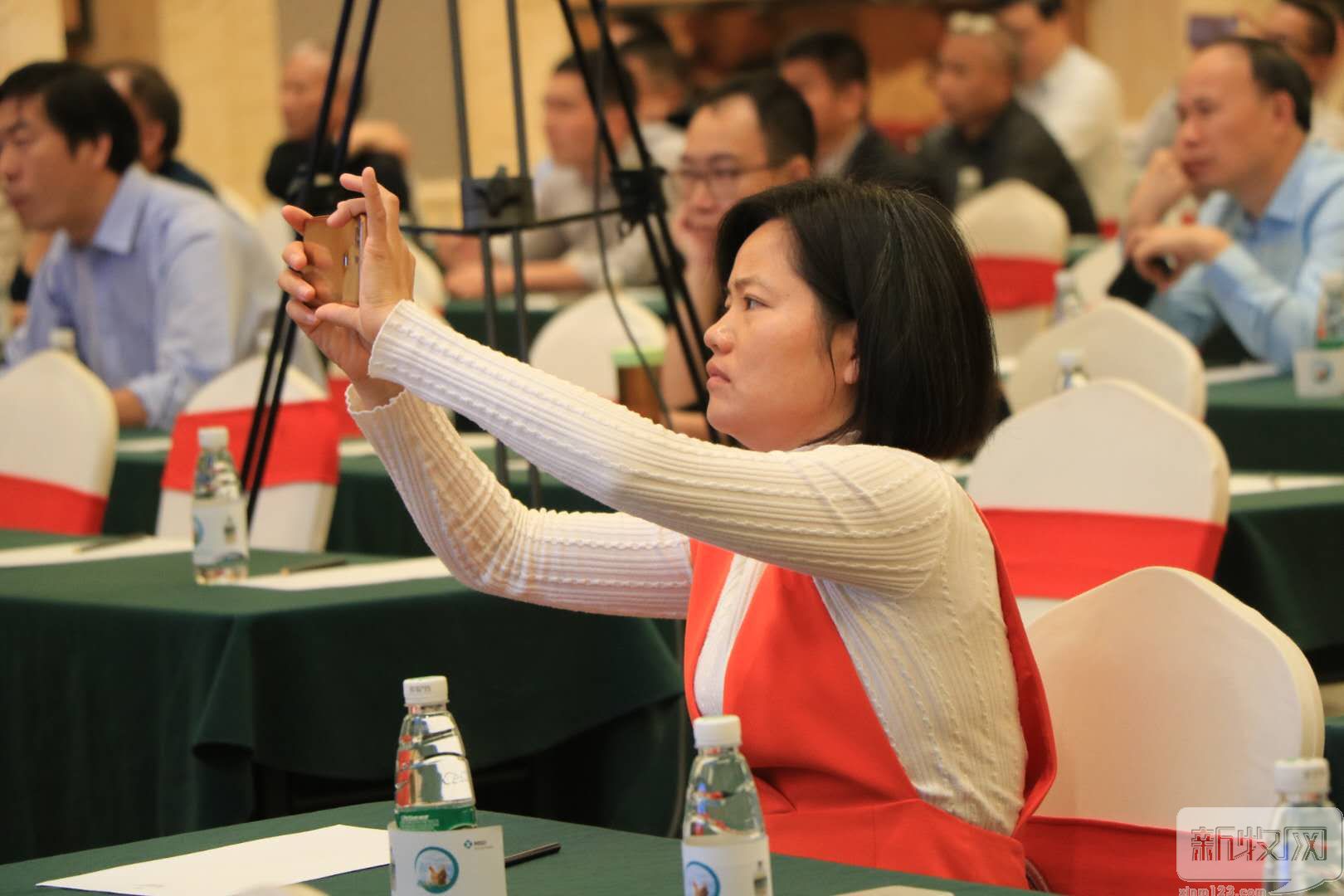 祝贺！和盛集团获“2018年度国鸡产业推动奖”殊荣