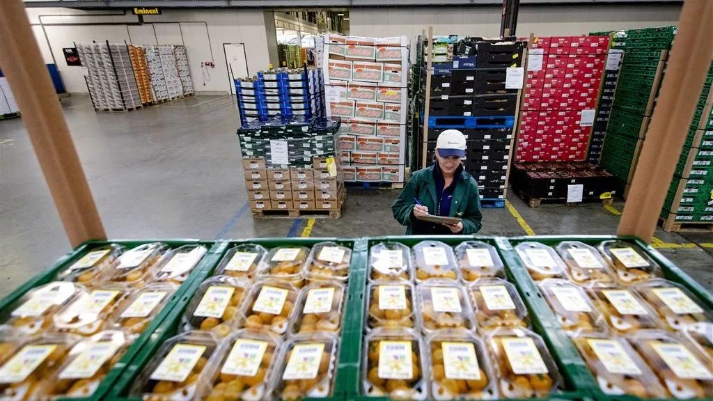 中国奶粉出口国外,国际奶粉出口状况