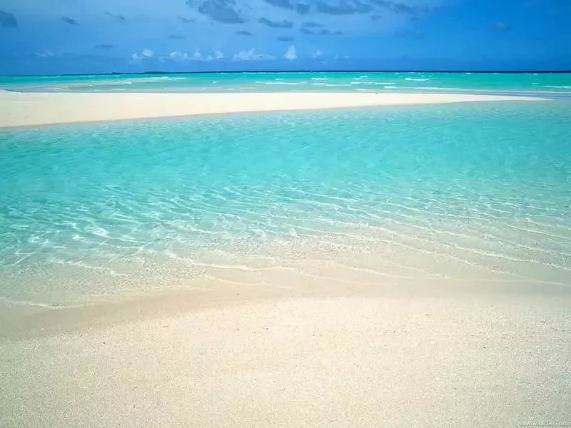 环保科普知识的图片,海洋生态环保主题方案