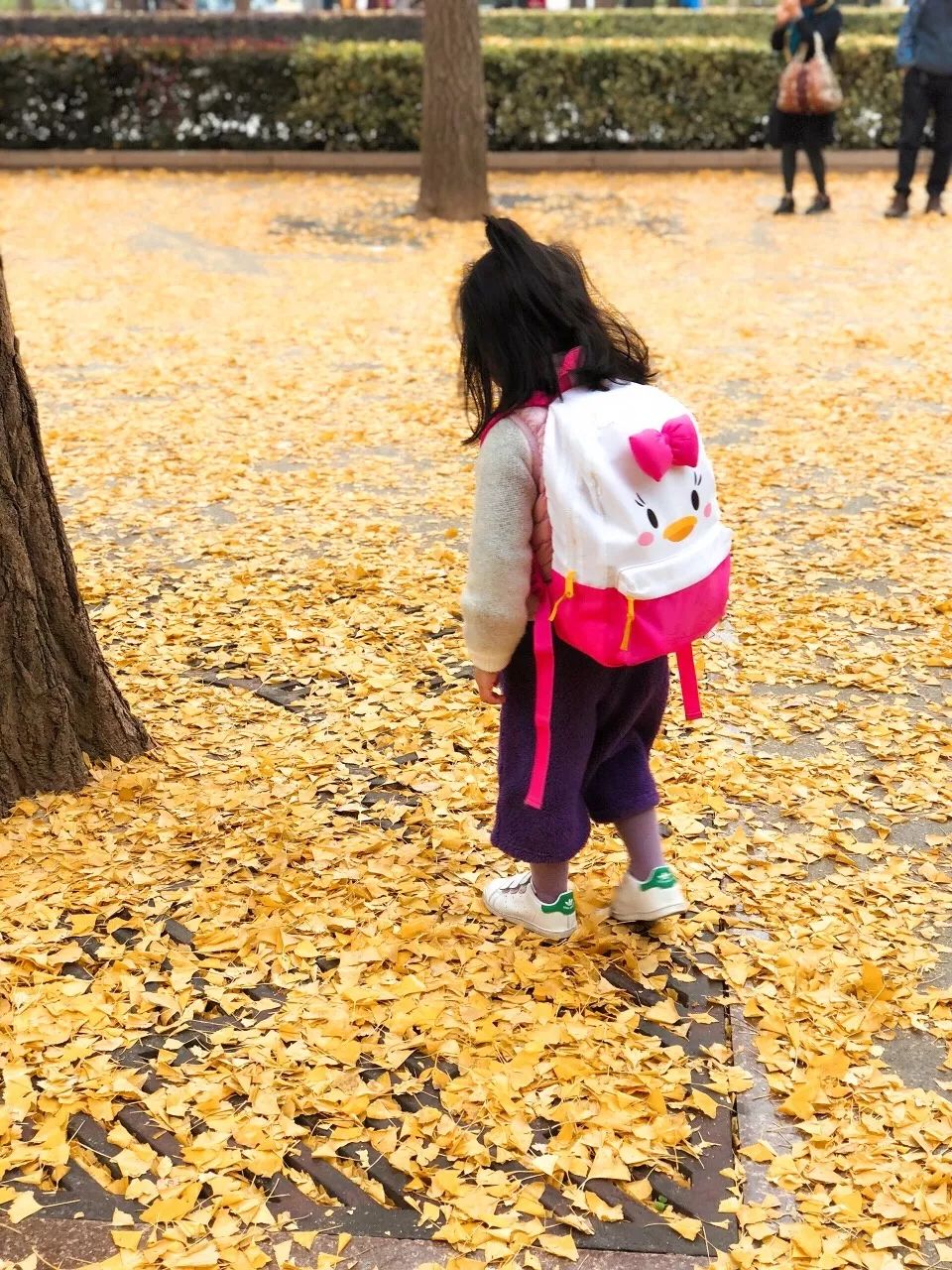 银杏打卡景点,成都周边打卡最美银杏观赏地