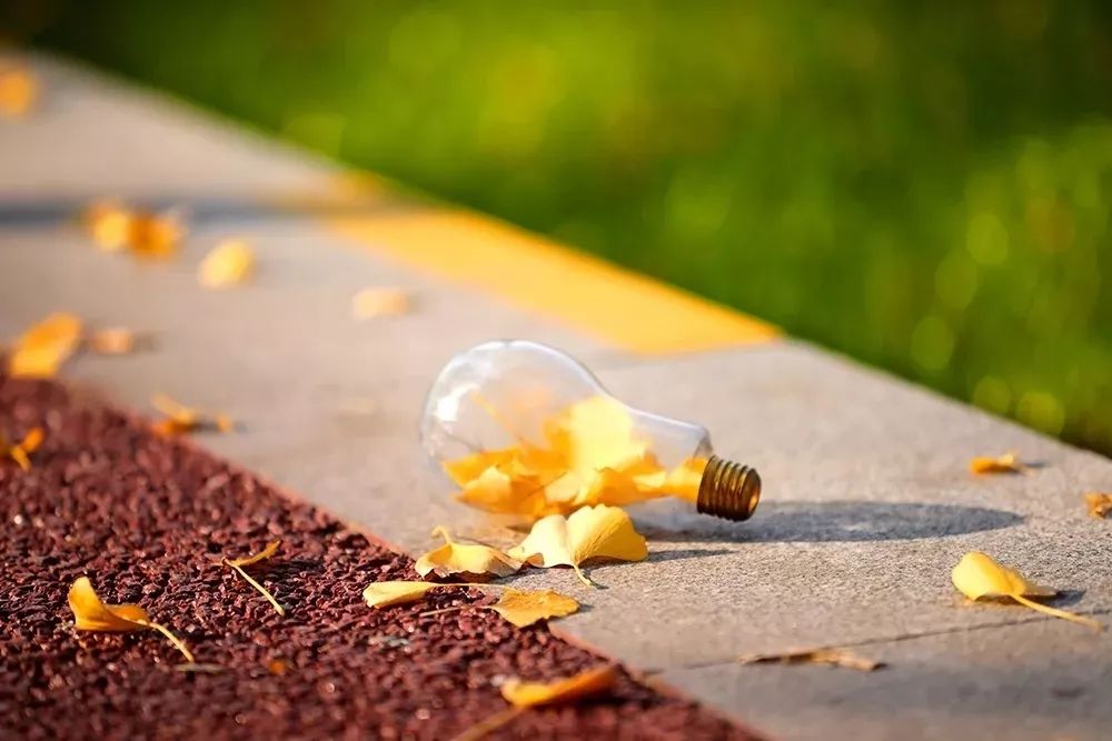 银杏打卡景点,成都周边打卡最美银杏观赏地