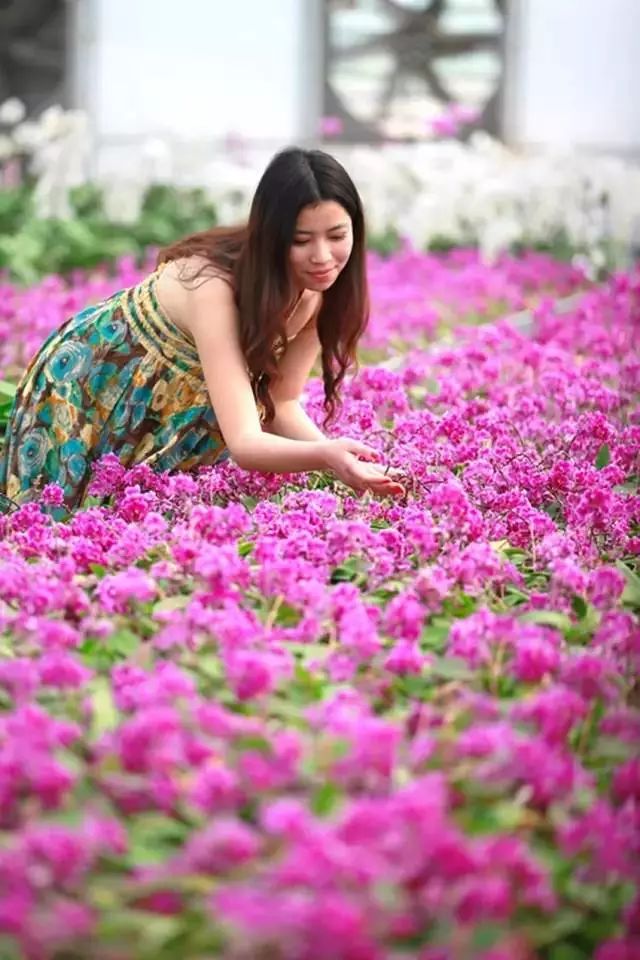 泰山登山证能去哪些地方免费,爬泰山什么证件可以免费