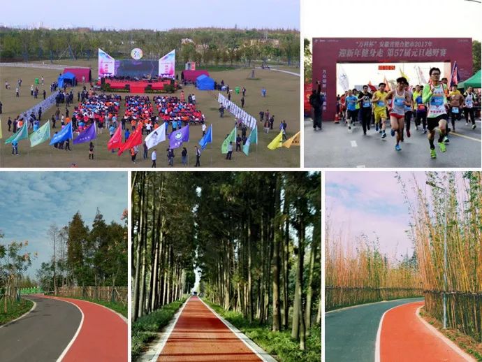 上海浦江郊野公园春节开放吧,上海浦江郊野公园一日游攻略大全