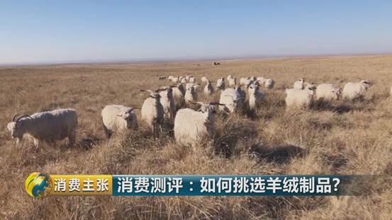 羊绒衫领发黄怎样清洗才正确,学会这一招清洗得干干净净