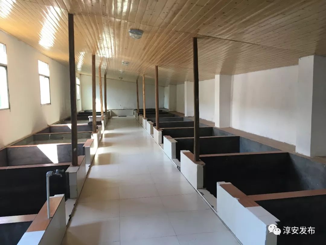 各地非物质文化遗产美食,本地特色美食非物质文化遗产