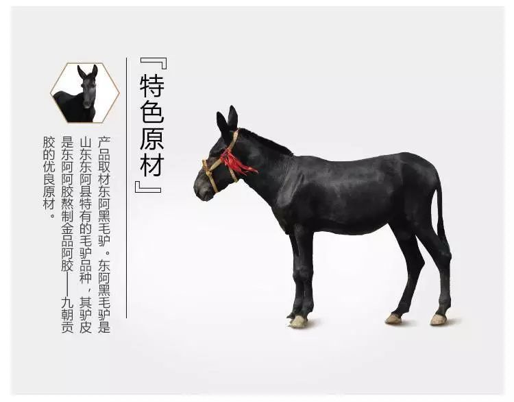 冬至阿胶滋补节,冬至滋补阿胶