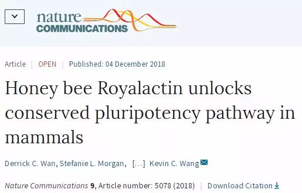 蜂王浆的神奇故事,蜂王浆神奇的吃法