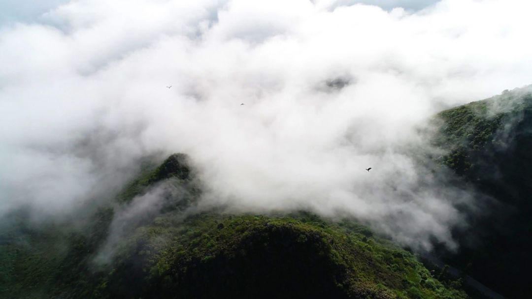 蒙自哪些景区值得去玩的,蒙自最美古镇在哪里