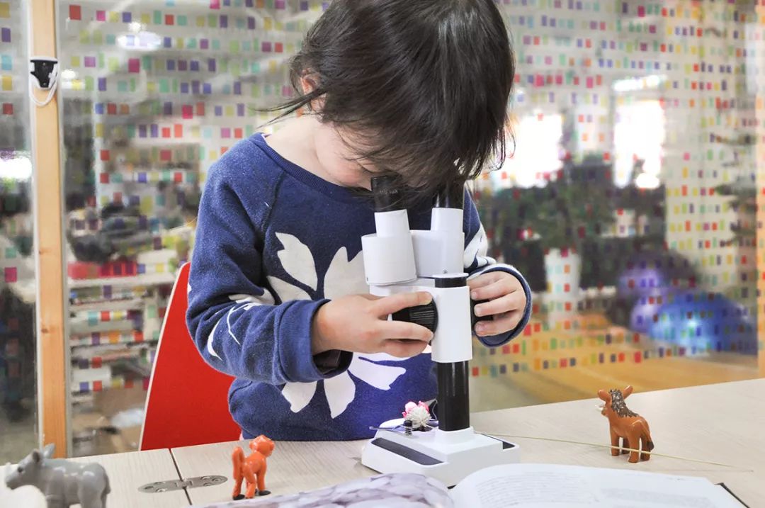 双12给宝宝囤的宝宝用品,双12什么东西适合宝宝囤